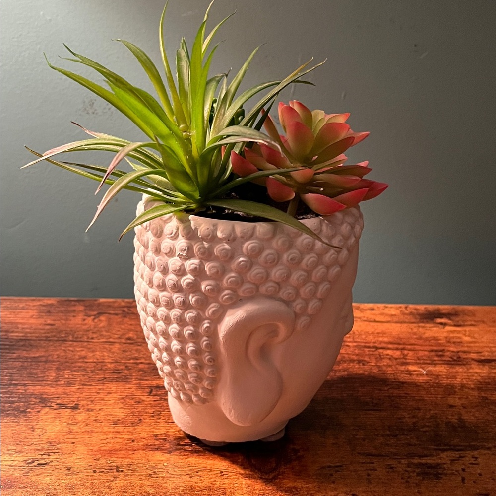 Succulent Buddha planter - Picture 4 of 5